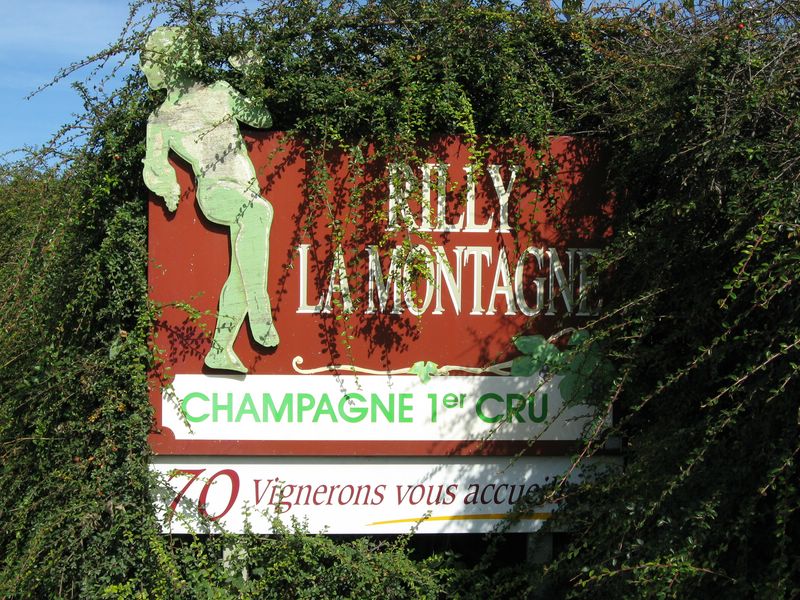 Rilly la montagne