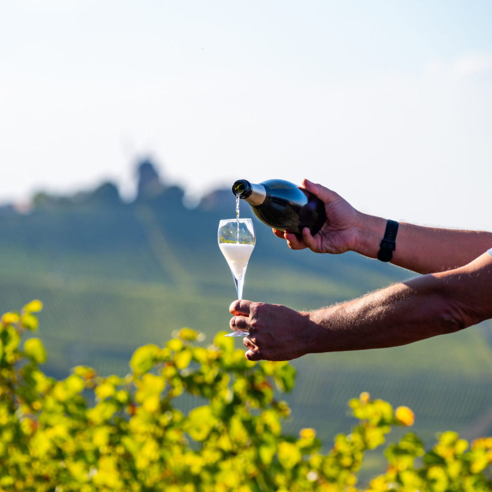 Pouring champagne sparkling wine in glass on grand cru Champagne vineyards near Moulin de Verzenay, Montagne de Reims near Verzy and Verzenay, Champagne, France on sunset