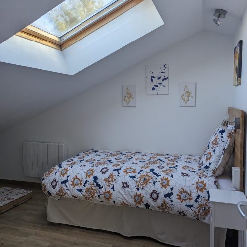 PXL_20240304_102331156